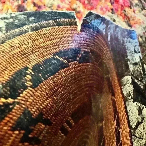 ARIZONA HIGHWAYS JULY 1975 English, Monthly NATIVE AMERICAN BASKETRY. - Picture 4 of 10